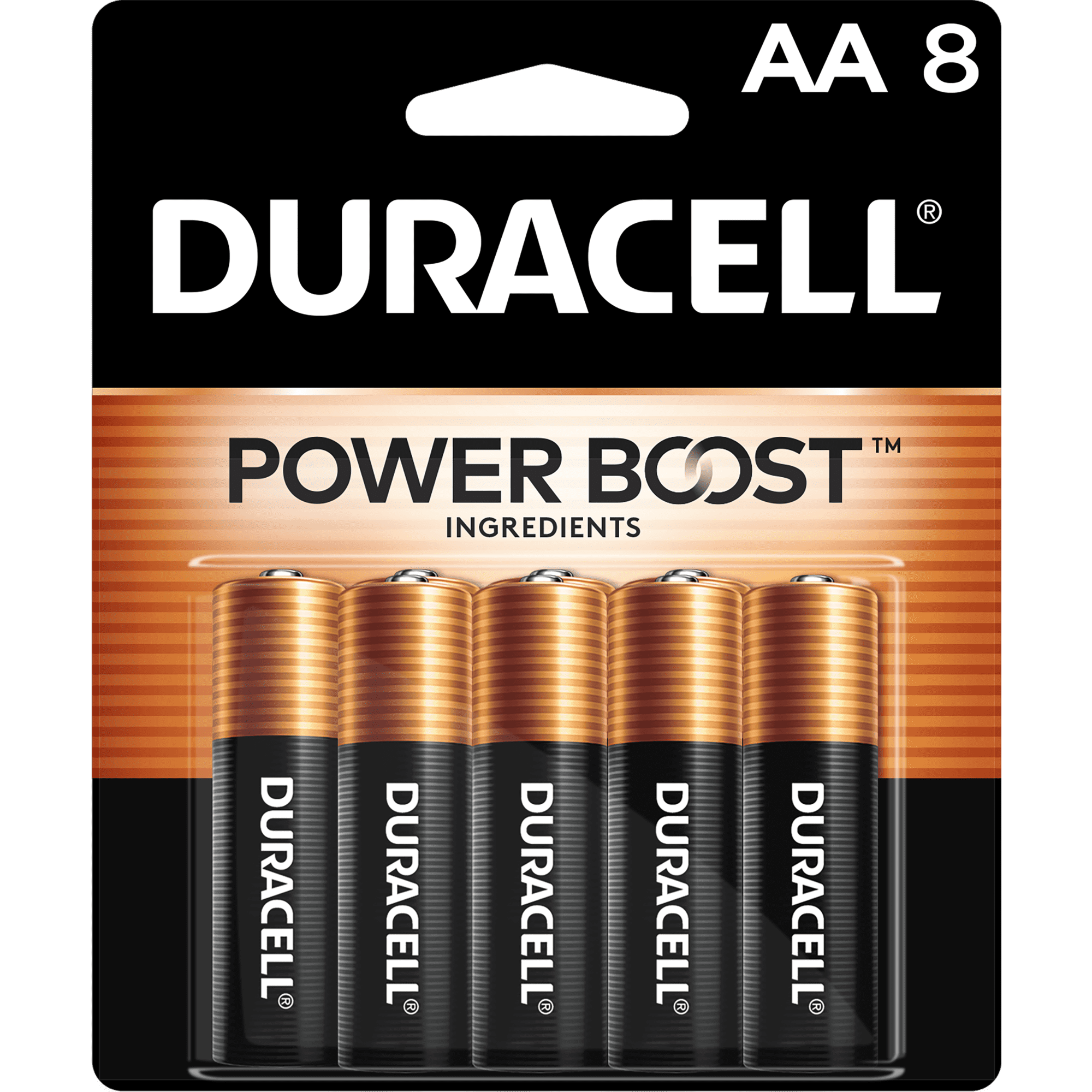 AA Batteries